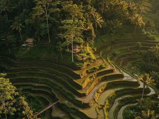 Ubud Tour 3